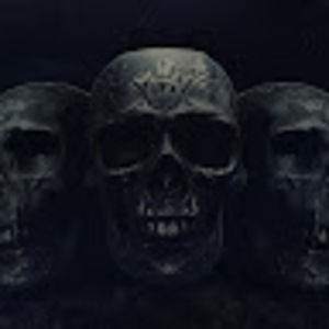 Meet your Posher, Austin